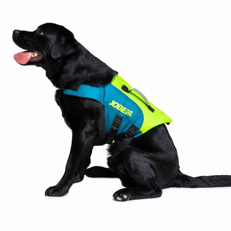 Jobe Pet Vest Lime/Teal