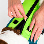 Jobe Pet Vest Lime/Teal