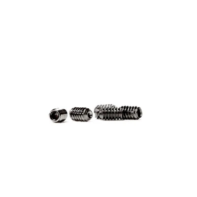 FCS Stainless Steel Screws (x2)